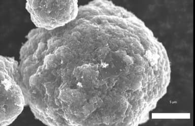 sulfur based cathode